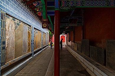 粉丝自制《巫师4》虚幻5演示 这画面难以想象